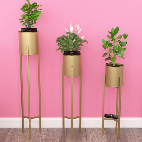 Metal Plant Stand Rack for Indoor & Outdoor (Golden, Set Of 3) - Bloomart