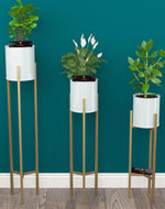Metal Plant Stand Rack for Indoor & Outdoor (Golden Stand, White Planter Set Of 3) - Bloomart