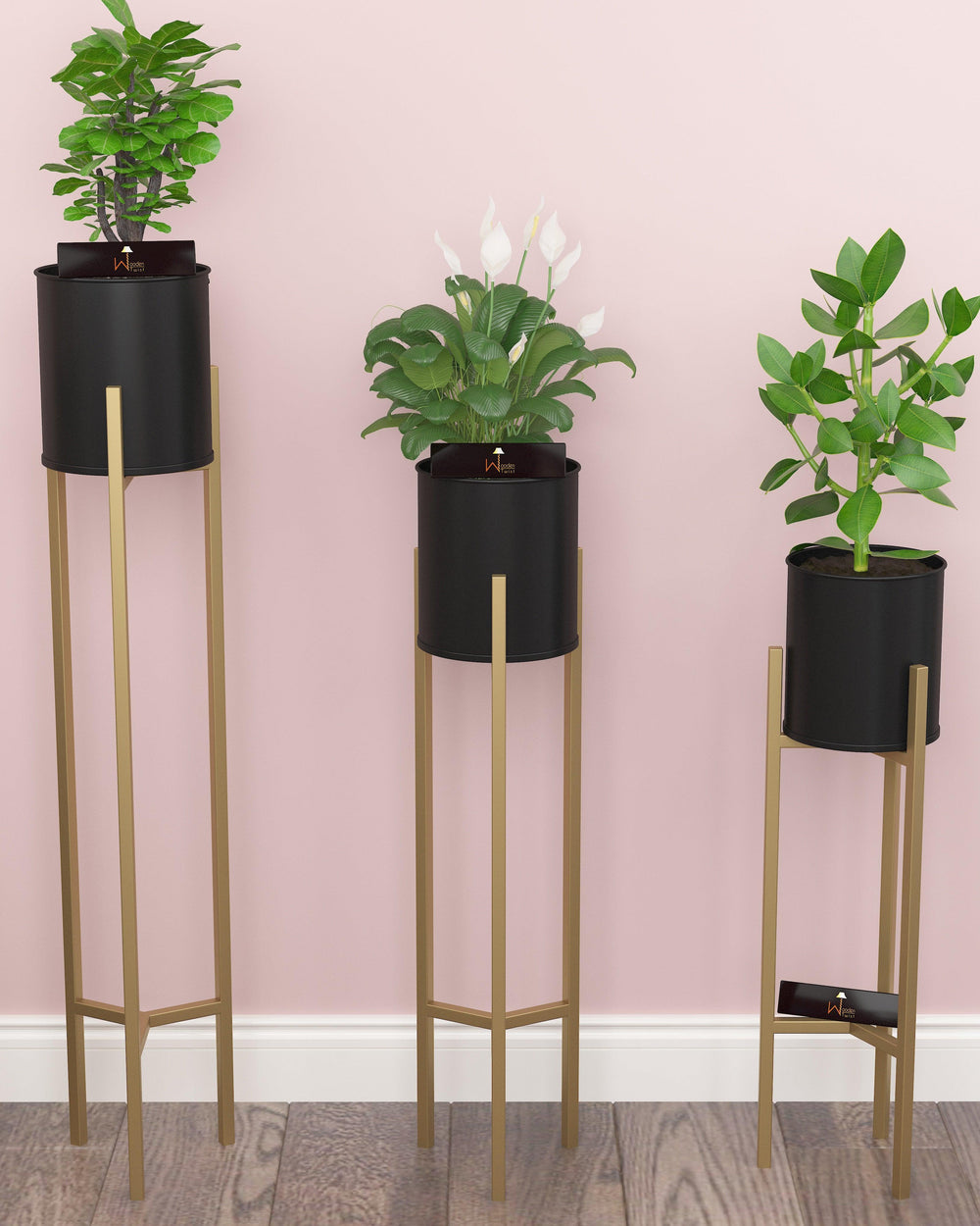 Metal Plant Stand Rack for Indoor & Outdoor (Black & Golden Set Of 3) - Bloomart