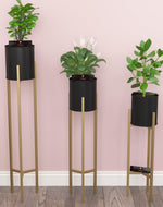 Metal Plant Stand Rack for Indoor & Outdoor (Black & Golden Set Of 3) - Bloomart