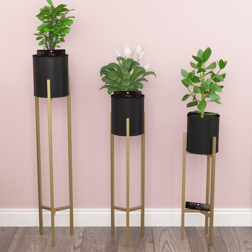 Metal Plant Stand Rack for Indoor & Outdoor (Black & Golden Set Of 3) - Bloomart