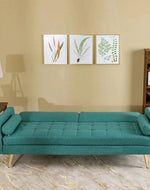 Modern Jolene 3 Seater Sofa Cum Bed For Living Room (With 2 Pillows)