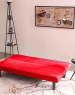 Penny 3 Seater Sofa Cum Bed for Living Room (Walnut Legs)