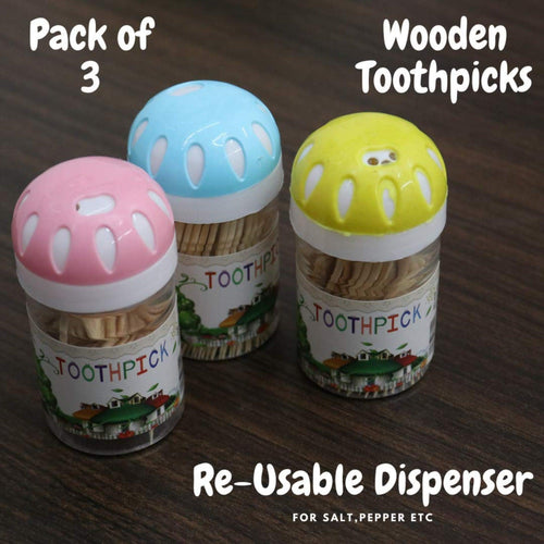 Wooden Toothpicks Sticks (Pack of 3) - Bloomart
