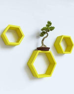 Hexagonal Shape Wooden Floating Wall Shelves Set of 3