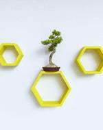 Hexagonal Shape Wooden Floating Wall Shelves Set of 3