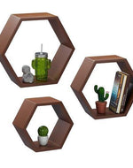 Hexagonal Shape Wooden Floating Wall Shelves Set of 3 - WoodenTwist