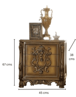 Bloomart Traditional Luxury Sheesham Wood Nightstand Set of 1 (Golden)