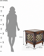 Beautiful Antique Wooden Stool with Storage for Living and Bedroom