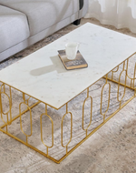 Stylish Coffee Table