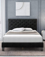 Modern Upholstered Platform Queen Size Bed (Teak Wood)