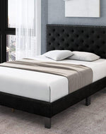 Modern Upholstered Platform Queen Size Bed (Teak Wood)