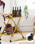 Antique Solid Metal Unique 2-Tier Design Bar Cart Trolley