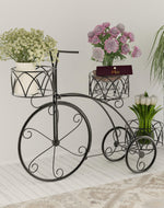 Garden Cart Planter Stand Tricycle Plant Holder - Ideal for Home, Garden, Patio (White) - Bloomart