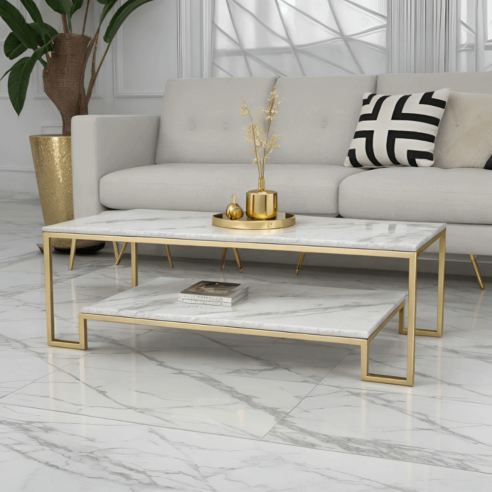 Modern Coffee Table 