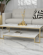 Modern Coffee Table 