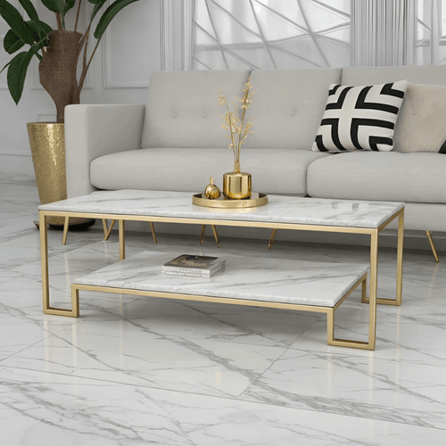 Modern Coffee Table 