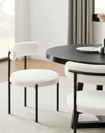 Modern Dining Chairs