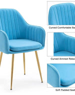 Wooden Twist Bonzer Velvet Fabric Modern Cafe Dining Chair with Metal Legs Stylish Seating for Kitchen and Dining Room