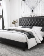 Queen Size Bed