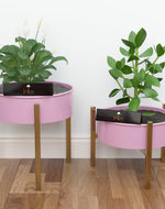 Modern Champagne Planter Stand (Set of 2) - Bloomart