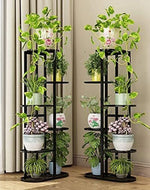 Bloomart Multi-Tier (Black) Plant Stand for Living Room Balcony Garden Decor
