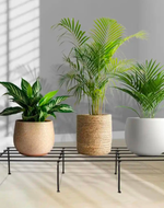 Plant stand 