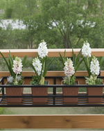 Minimalist Iron Railing Planter Stand for Balcony & Garden