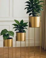 Stylish (Golden) Plant Stand for Living Room & Garden ( Set Of 3 )