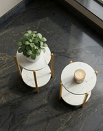 Bloomart Modern Metal Plant Stand with Prelaminated Marble Finish Top (Set of 2)