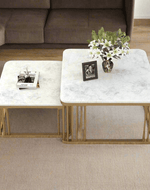Bloomart Stylish Look Square Wrought Iron Coffee Table ( Set of 2 )