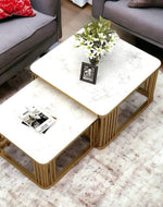 Bloomart Stylish Look Square Wrought Iron Coffee Table ( Set of 2 )
