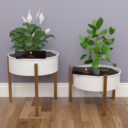 Modern Champagne Planter Stand (Set of 2) - Bloomart