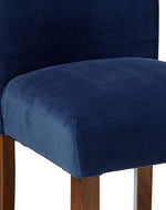 Trendy Accent Dining Chair in Velvet (Set of 2)